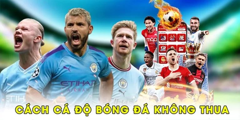 Cách cá độ bóng đá không thua