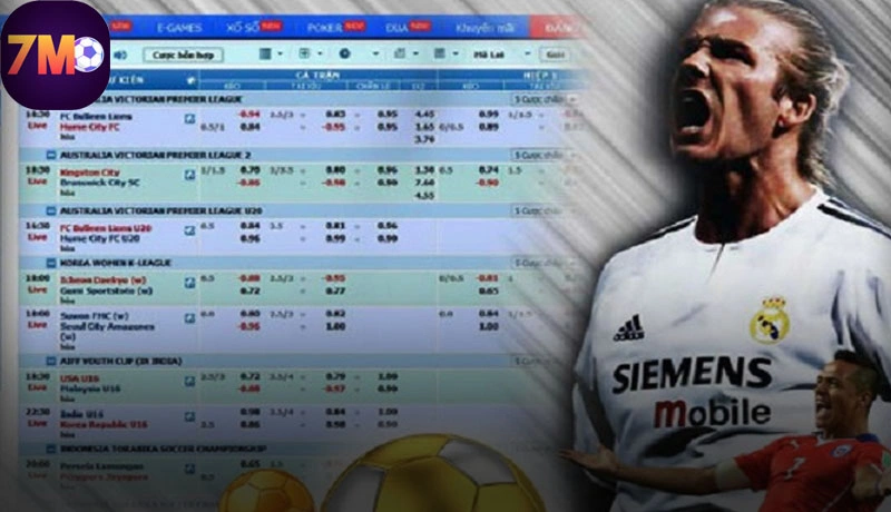 Hướng dẫn người chơi cách bắt kèo nhà cái chính xác