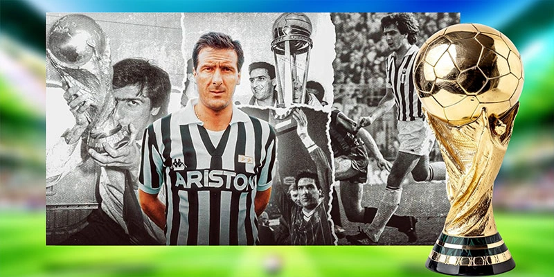 Đặc điểm nhận biết libero